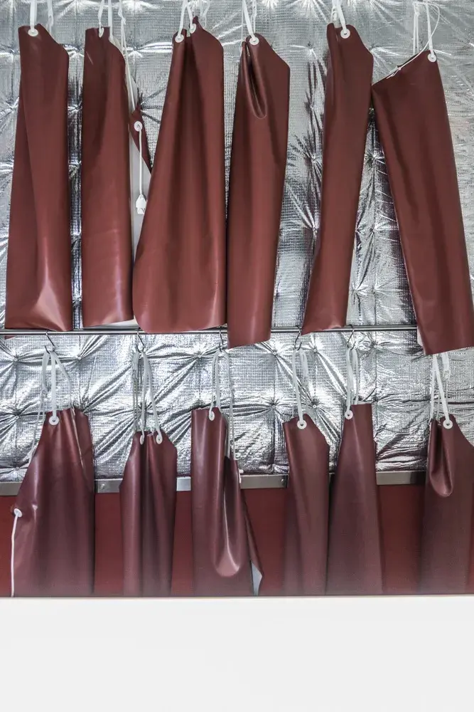 Academia de Despiece - Visual